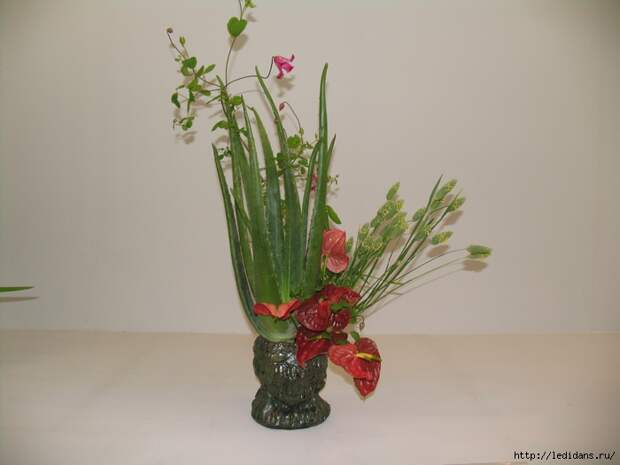 043 (700x525, 215Kb)