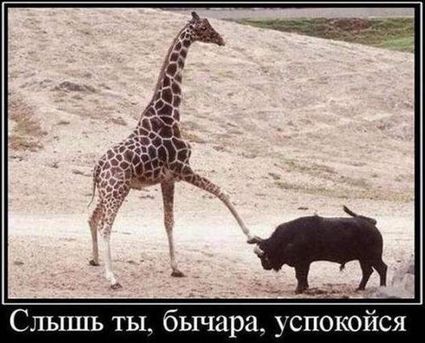 Разнообразная подборка =) Улыбок! Разнообразная подборка =) Улыбок!