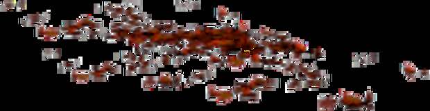 0_6f504_e91c6c72_LОЬ (200x52, 10Kb)