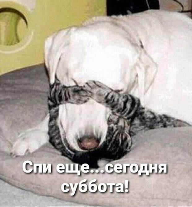 Надо плюнуть на всё, и начинать потихоньку распутывать гирлянды