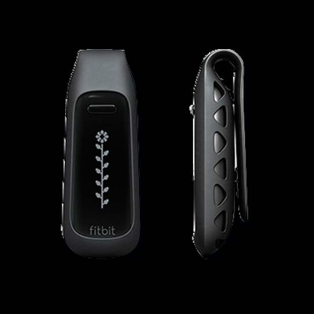 Fitbit One