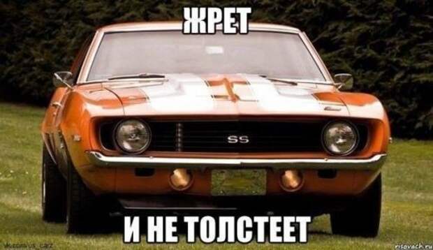 Смешные пятничные картинки - свежие приколы