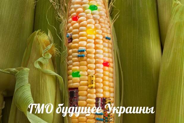 Новости: ГМО будущее Украины — События дня. Взгляд патриота — 14.04.2015