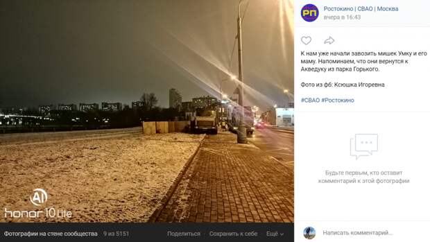Фото дня: Умку и его маму возвращают к акведуку