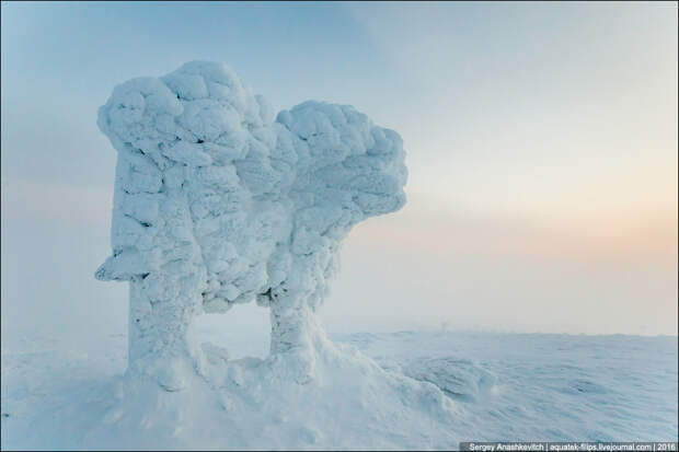 Sunrise in Lapland Sunrise in Lapland