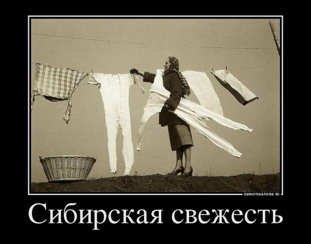 Демотиваторы бревно, демотиваторы, юмор