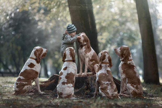 На осмотре у ветеринара Тимофея. Фото: Andy Seliverstoff.