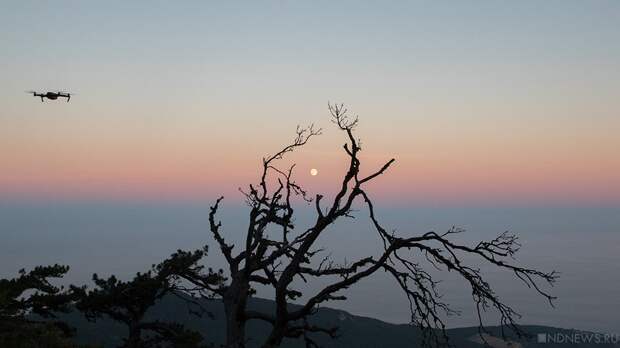 Средства ПВО за ночь сбили 42 украинских дрона