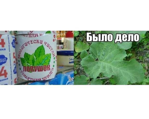 Смешные картинки с надписям весёлое, смешное, смешные картинки, юмор