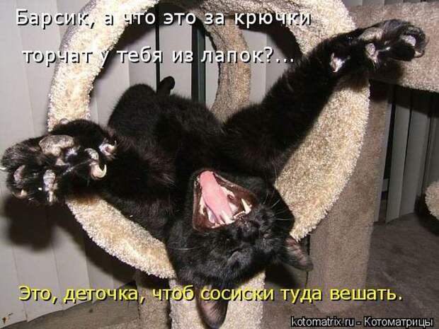 Мысли вслух :)