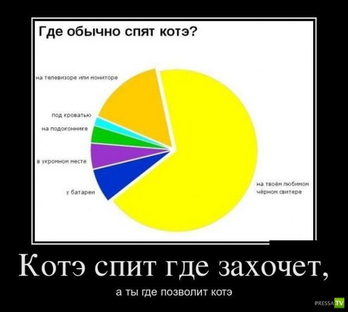 Демотиваторы на июнь, часть 15 (34 фото)