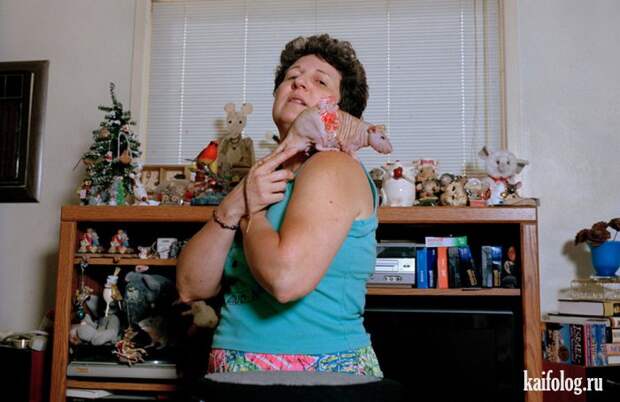 Необычные домашние животные (55 фото) Необычные домашние животные (55 фото)