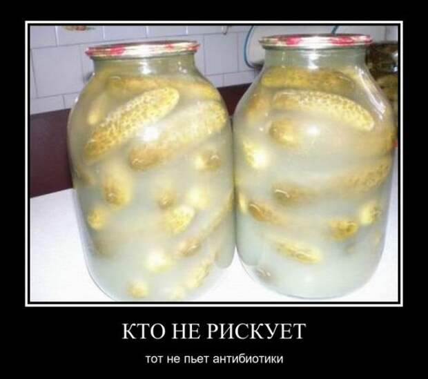 Кто не рискует, тот не пьёт антибиотики демотиватор, юмор