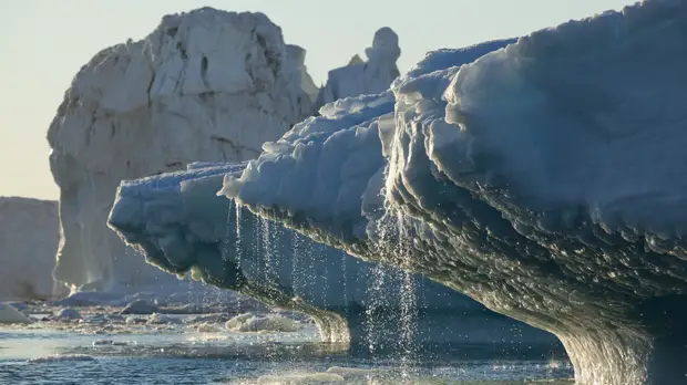 Климатолог Киселёв высказался о возможных последствиях повышения температуры воздуха
