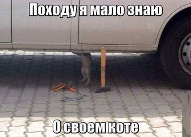 Подборка автоприколов. Часть 201 Подборка автоприколов. Часть 201 автоприколы, приколы