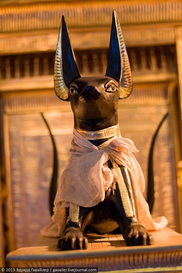 Гробница Тутанхамона выставка, гробница, фараон, царь