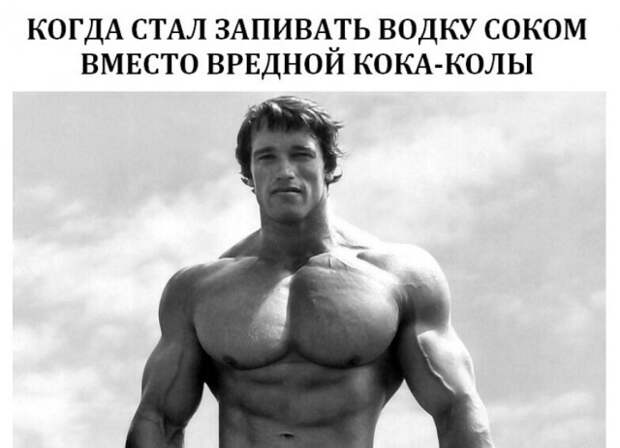 Шутки об алкоголе, которые помогут пережить неделю Шутки об алкоголе, которые помогут пережить неделю