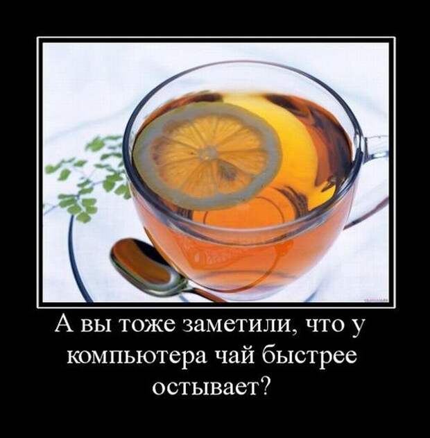 Демотиваторы (35 фото)