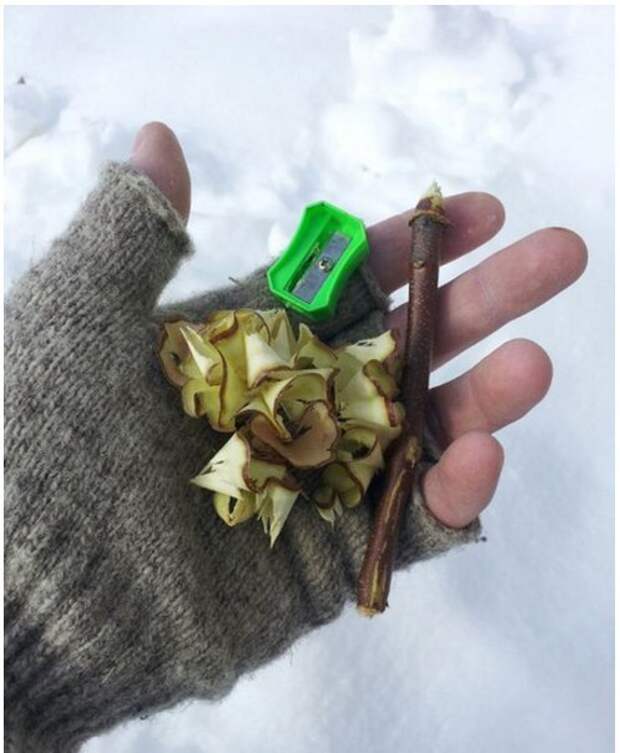 На заметку! На заметку!