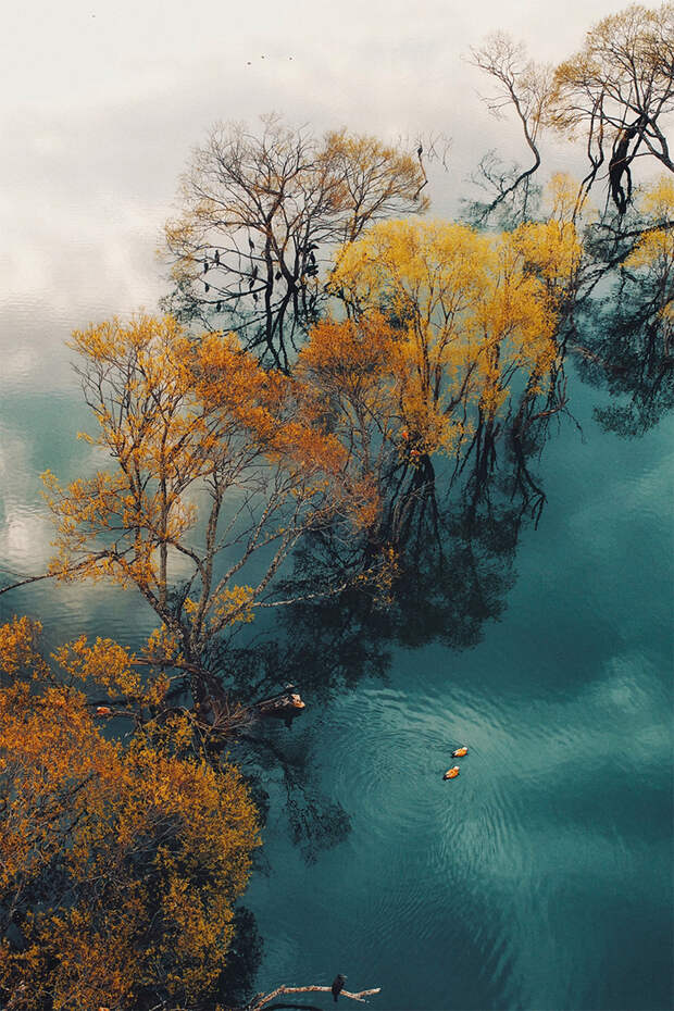 Победители конкурса "Лучшие фото снятые с дрона 2018"  от SkyPixel. Фотография, Дрон, Длиннопост, Boredpanda, Аэросъемка