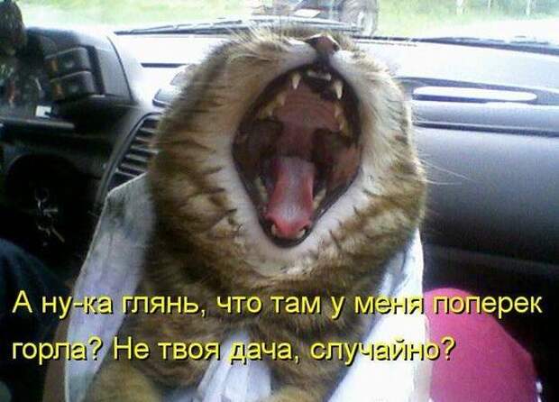 Смешные до слез свежие мемы (среда)