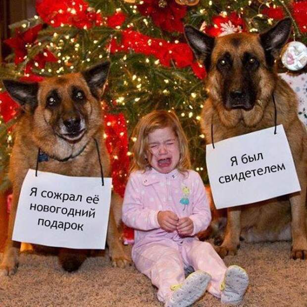 Подборка интересных фотографий... часть ...еще одна...