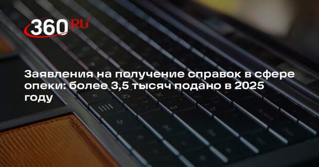 Заявления на получение справок в сфере опеки: более 3,5 тысяч подано в 2025 году