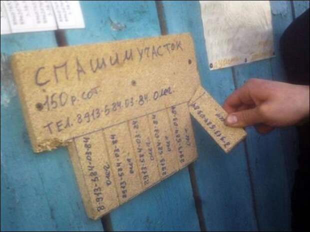 Сплошные перлы бывают только в перловой каше и здесь...