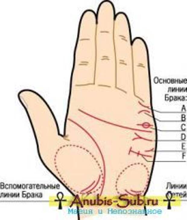 ВЕНЕЦ БЕЗБРАЧИЯ - как определить, признаки венца безбрачия