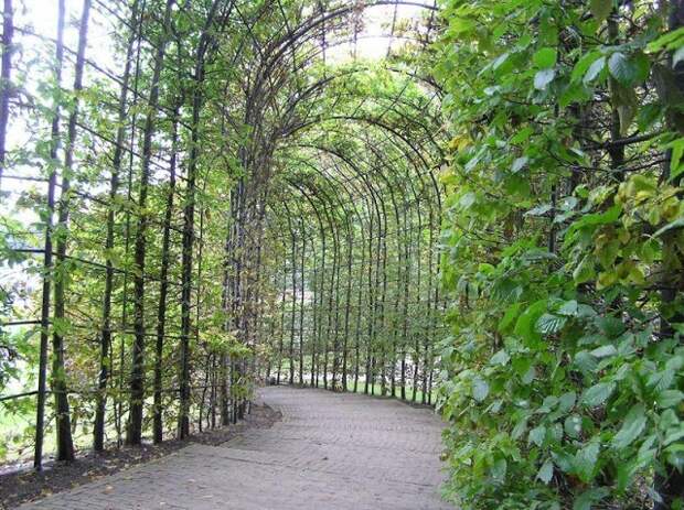 Сад Ядов - "The Poison Garden" растения, сад, яды