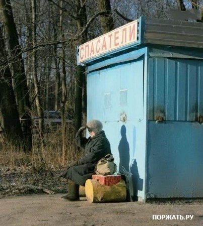 смешное (20 фото)