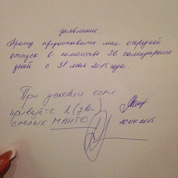 когда повезло с начальником