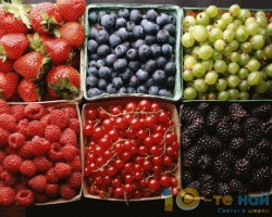 10 самых полезных продуктов и напитков для красивых зубов