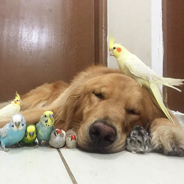 instagram.com