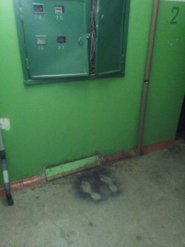 И с тех пор соседа не видали.