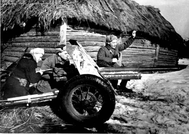 Освобождение Украины в годы Великой Отечественной войны