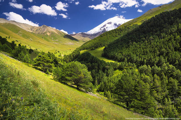 Caucasus mountains