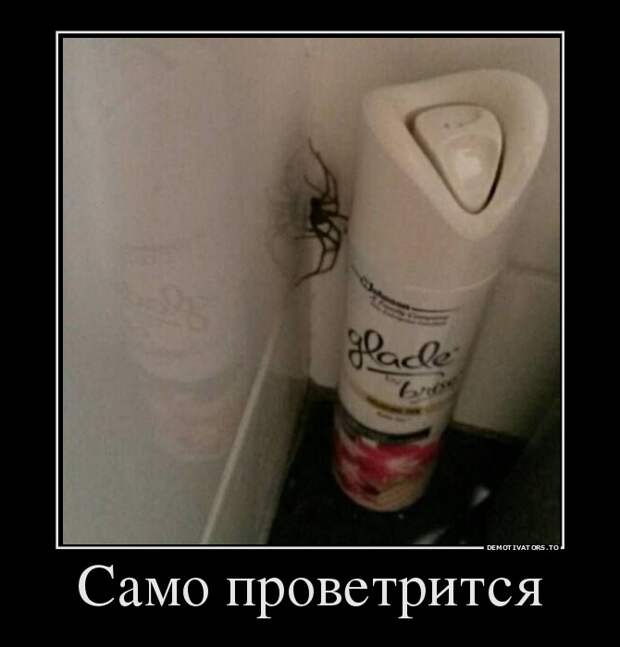 Само проветрится демотиватор, юмор