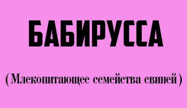 12 странных слов, которые и правда есть в русском языке (12 фото)