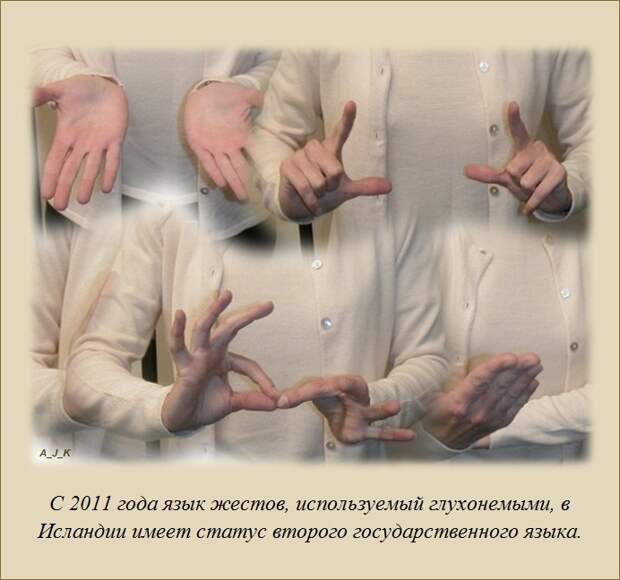 Только факты и ничего, кроме них (20 штук) Только факты и ничего, кроме них (20 штук)