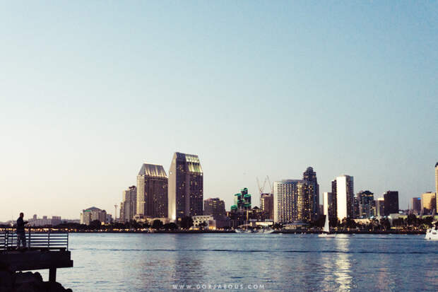 Coronado Island at Night-4.jpg