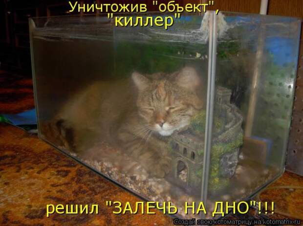 Мысли вслух :)