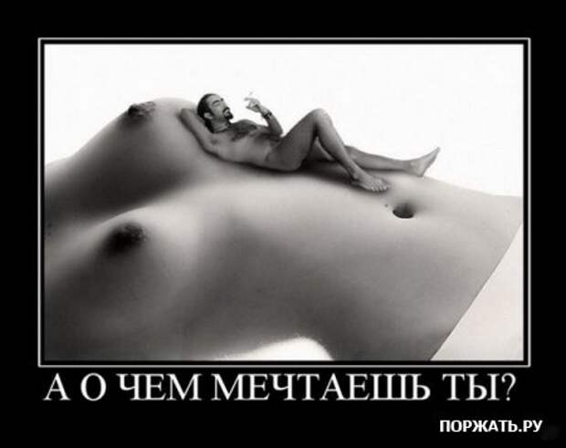 Демативаторы (21 фото)