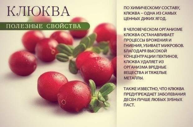 9 самых полезных продуктов для всего организма