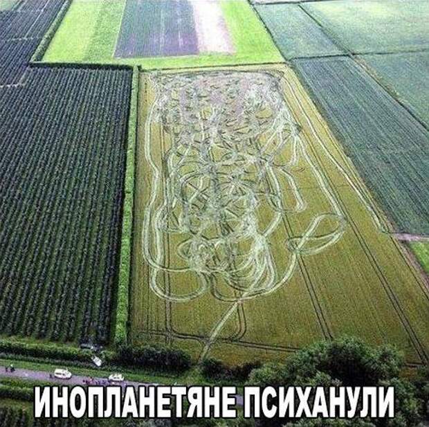 30 лучших картинок с фразами. Жмите Лайк!