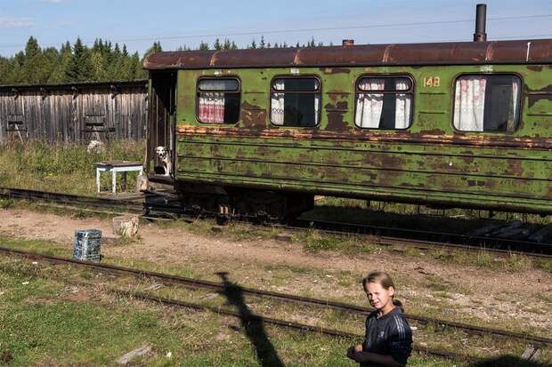 Локомотив времени: Узкоколейка из настоящего в прошлое в серии Алексея Лощилова