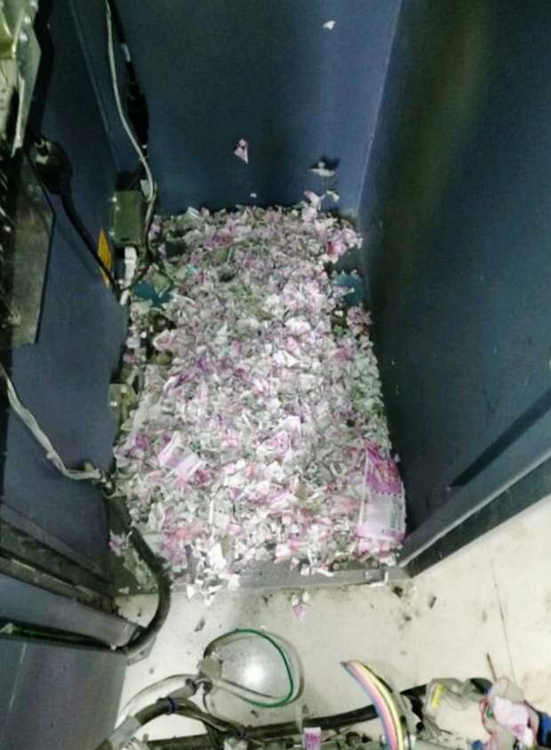 В Индии крысы уничтожили 1,2 миллионов рупий в банкомате государственного банка