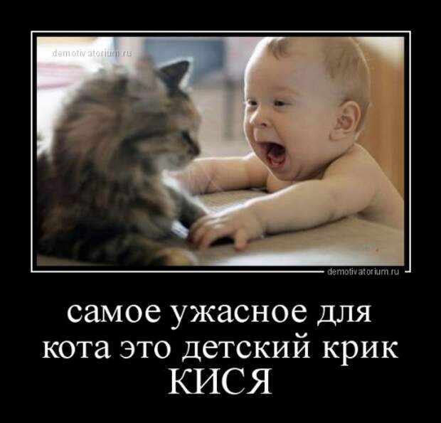 Демотиваторы-новинки для всех (12 шт)