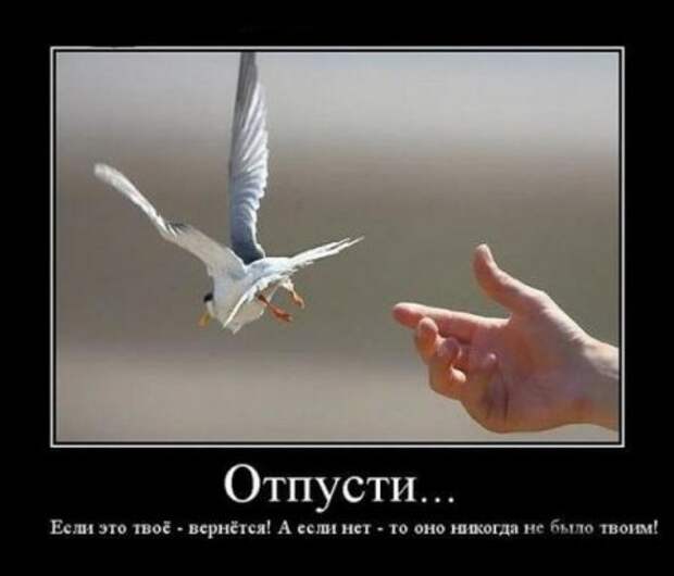 Демотиваторы со смыслом картинки.