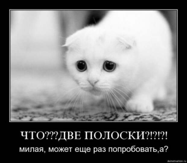 Демки, только прикольные.